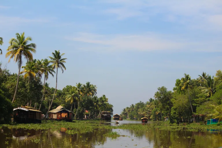 Kerala Backwaters: Your Ultimate Relaxation Spot